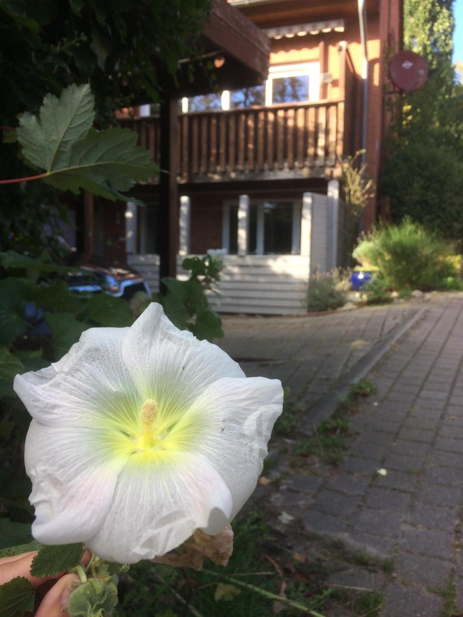 Apartmán Dock 54 Eckernförde Exteriér fotografie